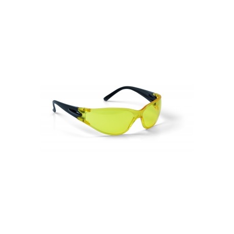 V&Eacute;DŐSZEM&Uuml;VEG, "SUN VIEW"